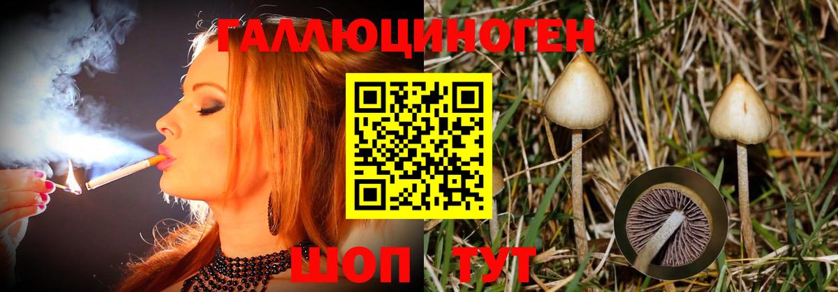 цены   Галлюциногенные грибы Cubensis  Ухта  Вход с VPN  Галлюциногенные грибы мухоморы 
